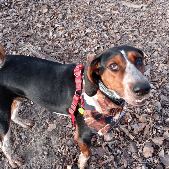 Wholesale Estate Luxury Fashions - Picture 13 of 16